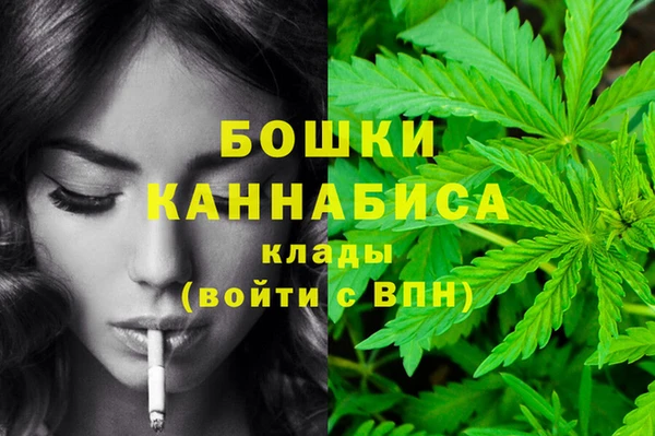 дурь Аркадак