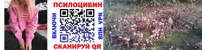 Псилоцибиновые грибы Psilocybine cubensis  Купить где  Выкса 